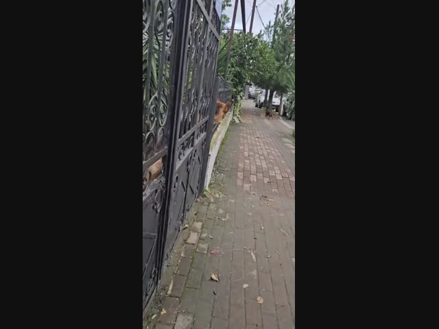 -Ой, зачем так пугать!