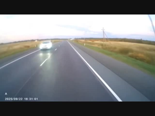 Внезапный лось