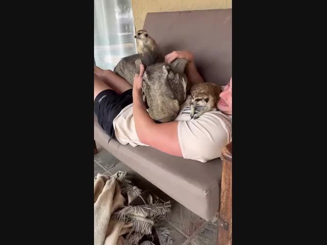 Смешная семейка