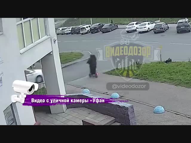 Самокатчицы каракатицы