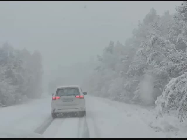 Здравствуй, зима!