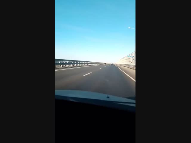 “Чужие” среди нас