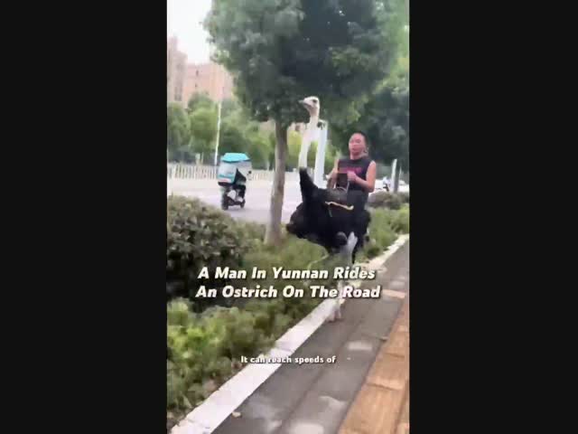 Самый популярный человек в Китае