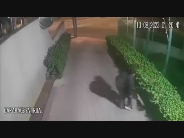 Парень с самурайским мечом убедил воришек вернуть украденные велосипеды