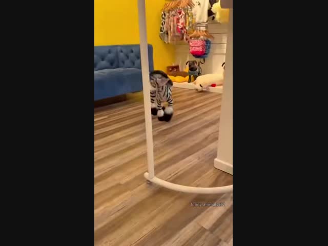 Главное, чтобы краска не была токсичной, а так красиво...