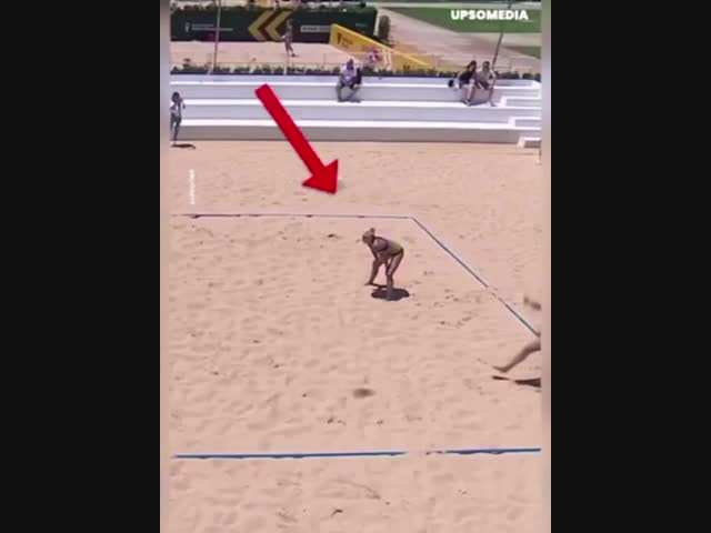 Навытаскивала