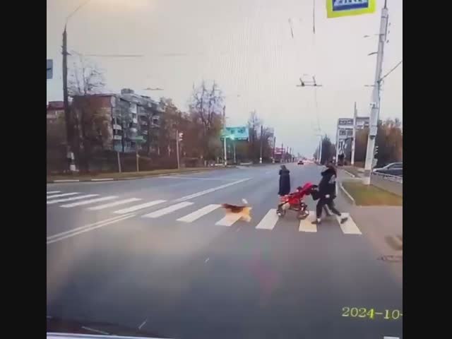 В Дзержинске две женщины с коляской и собакой переходили дорогу на красный свет