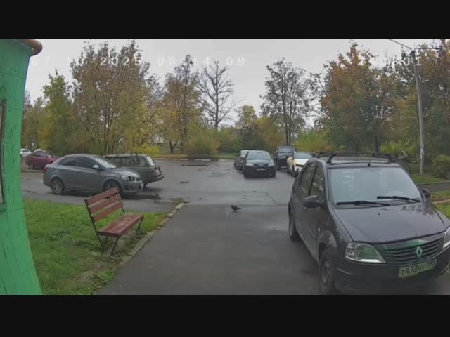 Дикий случай с истошными криками