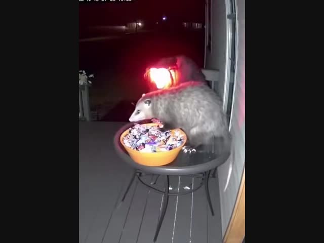 Испугался, маленький