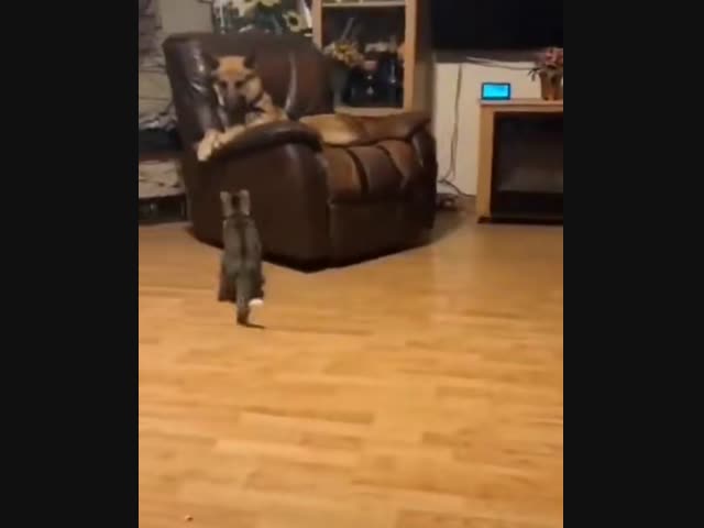 Кто здесь главный?