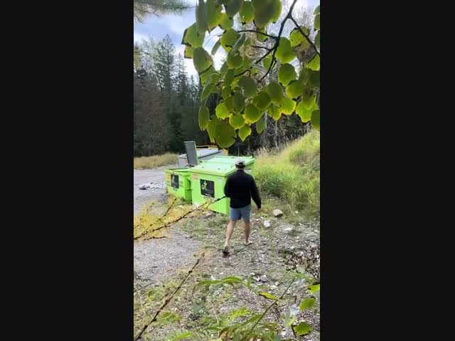 Медвежонок уже крупный, такой и человеком может закусить