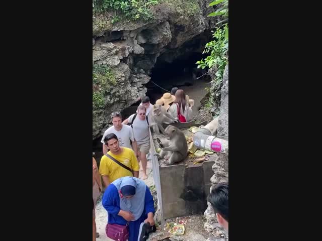 Достойный противник