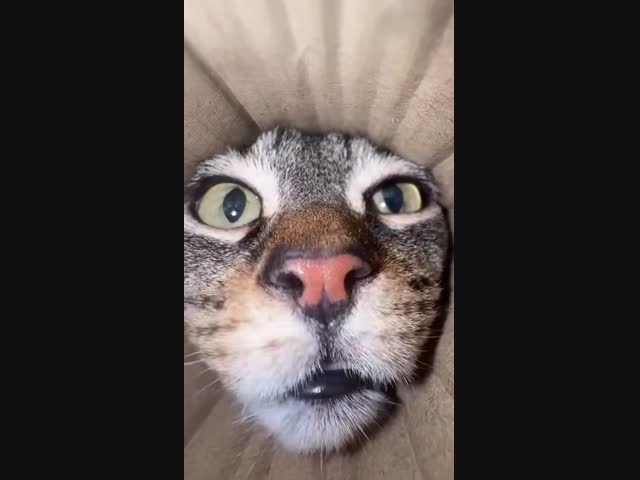 А ну, подвинься!