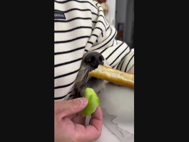 Идеальный детектор запаха