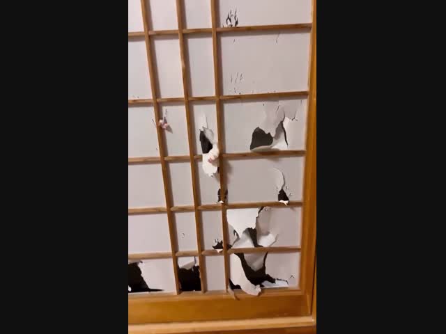 Баловство всё это...