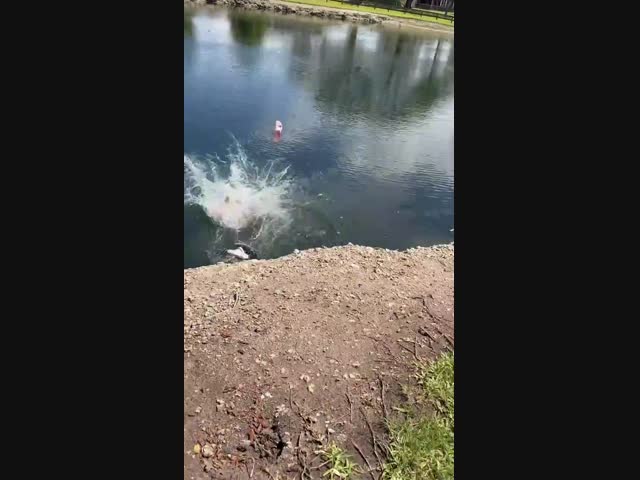 Коня на скаку остановит...