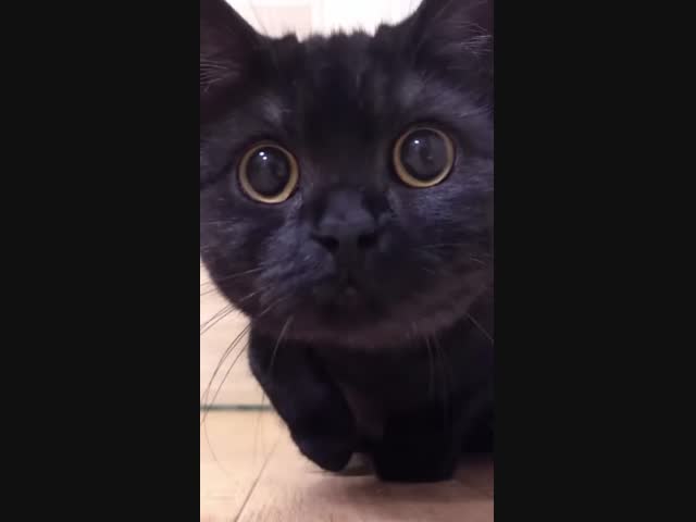 Вас заметили. И понюхали ))