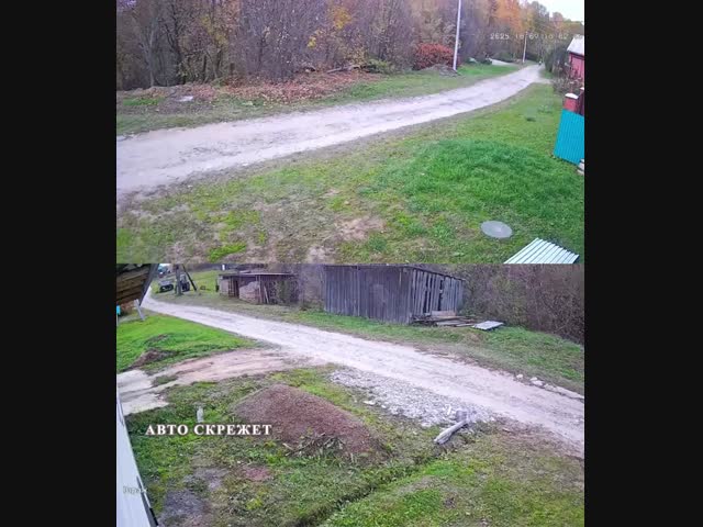 Самые гуманные полицейские РФ