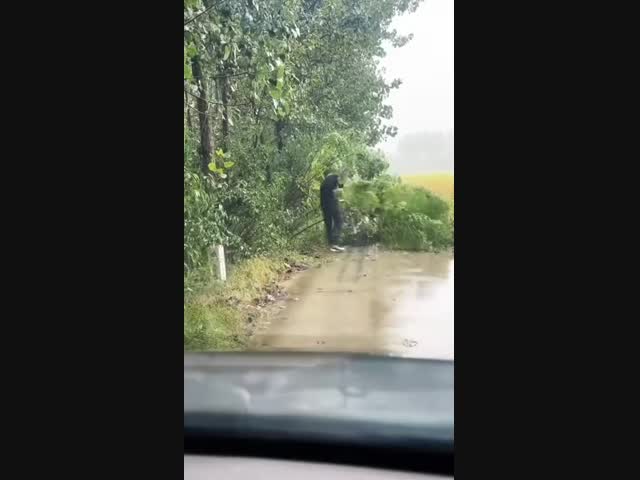 Расчистил дорогу, но не сразу