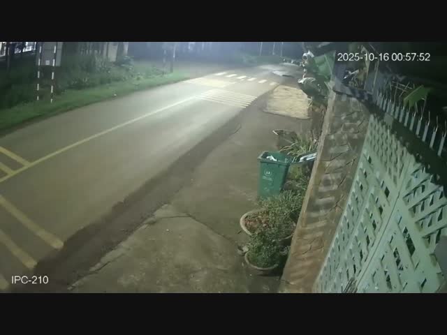 Совесть его мучила, и уехать хотел, но бросить своих не смог