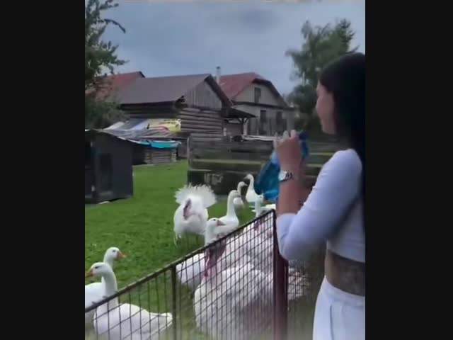 На одном языке