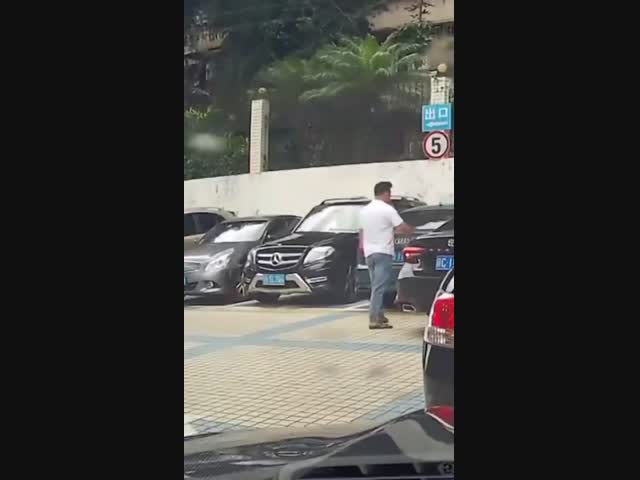 Внимание на кошку!