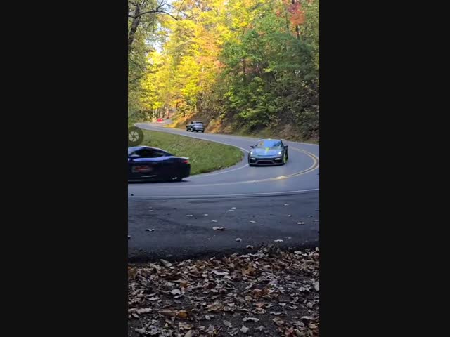 Дорогая авария