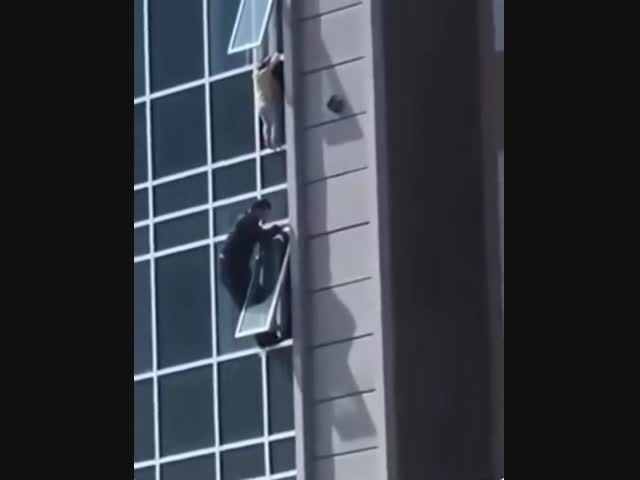 Простой рабочий спас ребенка, висевшего в окне на большой высоте