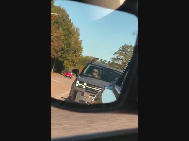 Какая нервная автомобилистка