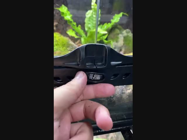 Домашний питомец