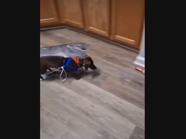 Вместо зарядки