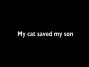 Кошка спасла мальчика от разъяренной собаки