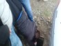 Жители Красноярска спасли щенка, провалившегося в канализационный люк